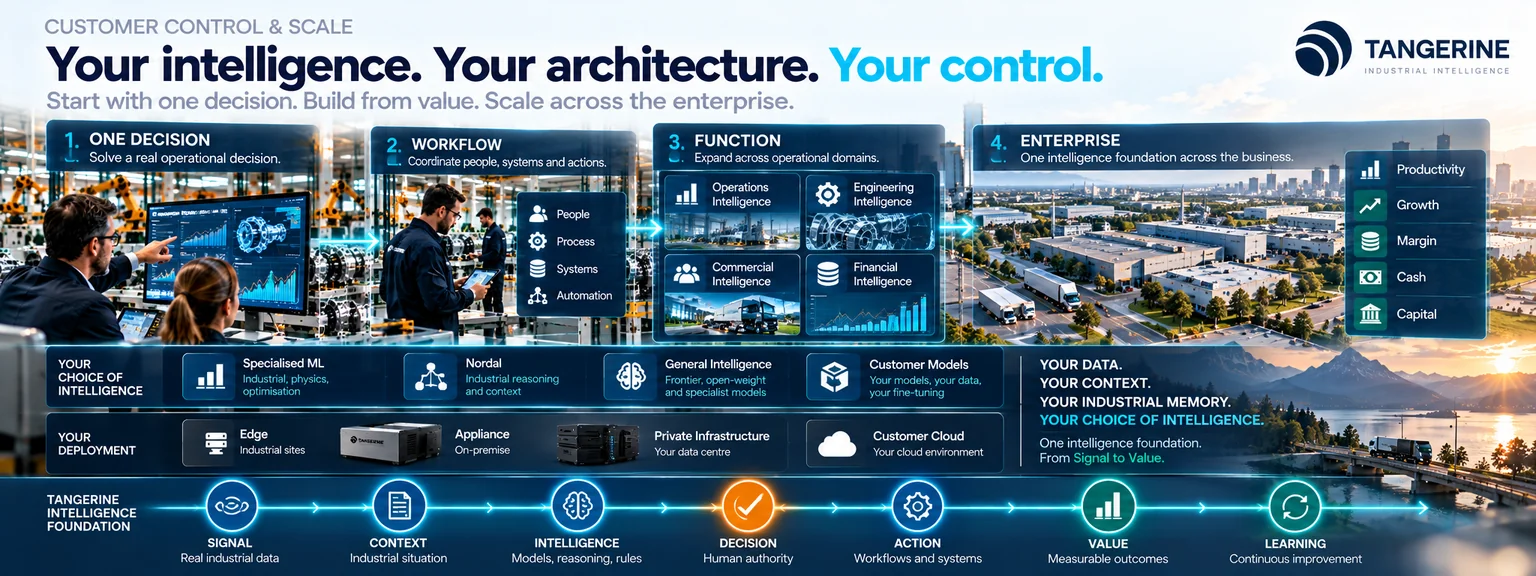 Customer controlled Tangerine architecture scaling from one decision to the enterprise